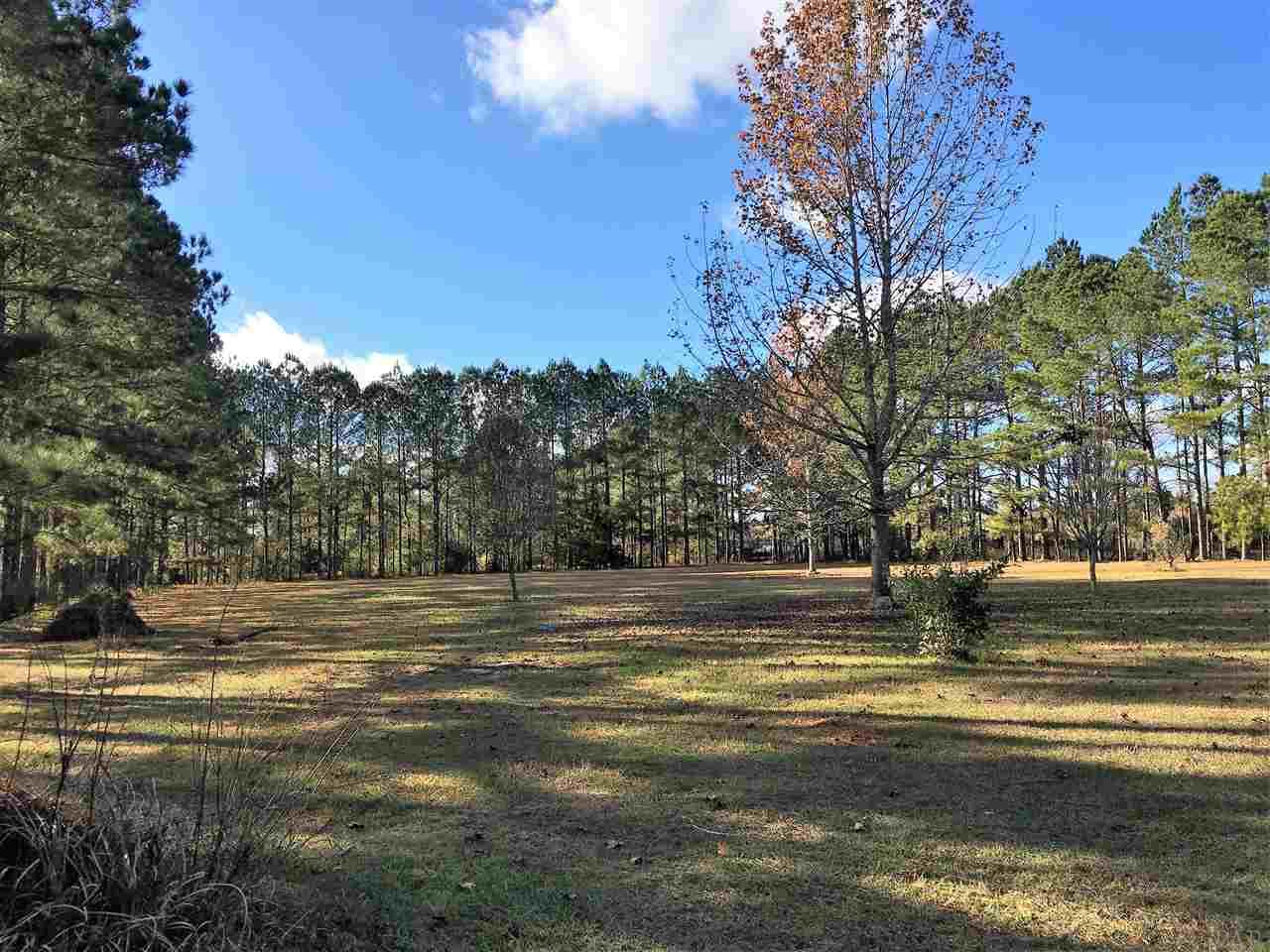 11851 Breman Road Elberta, AL 36530 - Photo 16 of 21