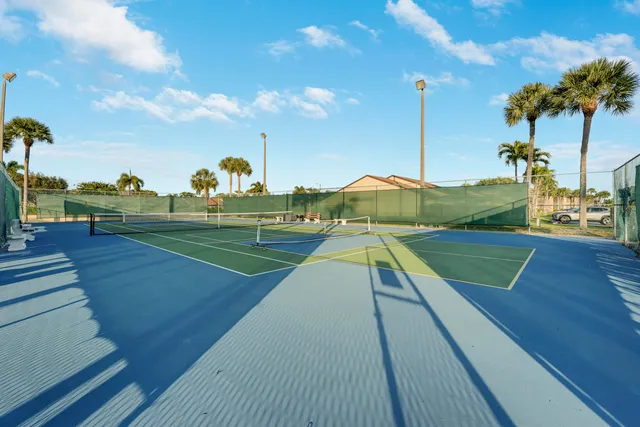 a view of a park with large trees