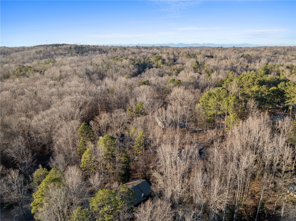 119 Shallowford Way Seneca, SC 29672 - Photo 38 of 38