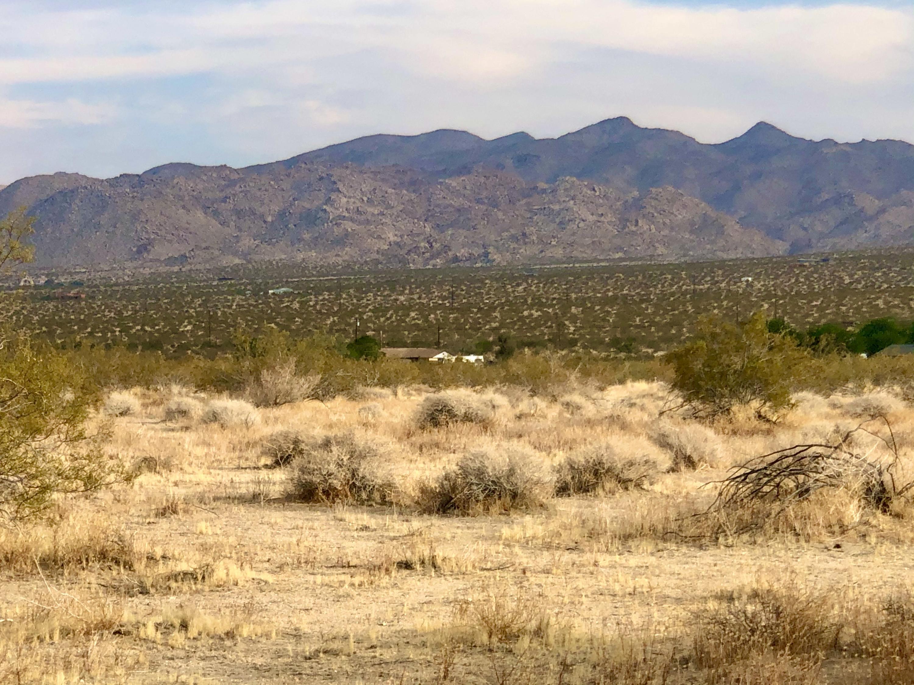 13140 Verbena Road Joshua Tree, CA 92252 - Photo 13 of 24 IMG_6867