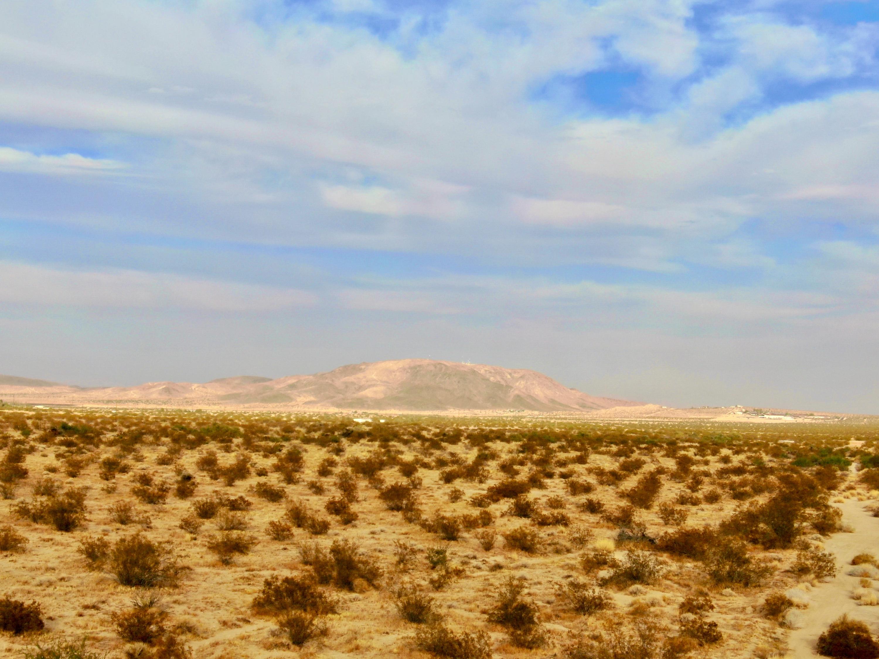 13140 Verbena Road Joshua Tree, CA 92252 - Photo 17 of 24 HWIE8922