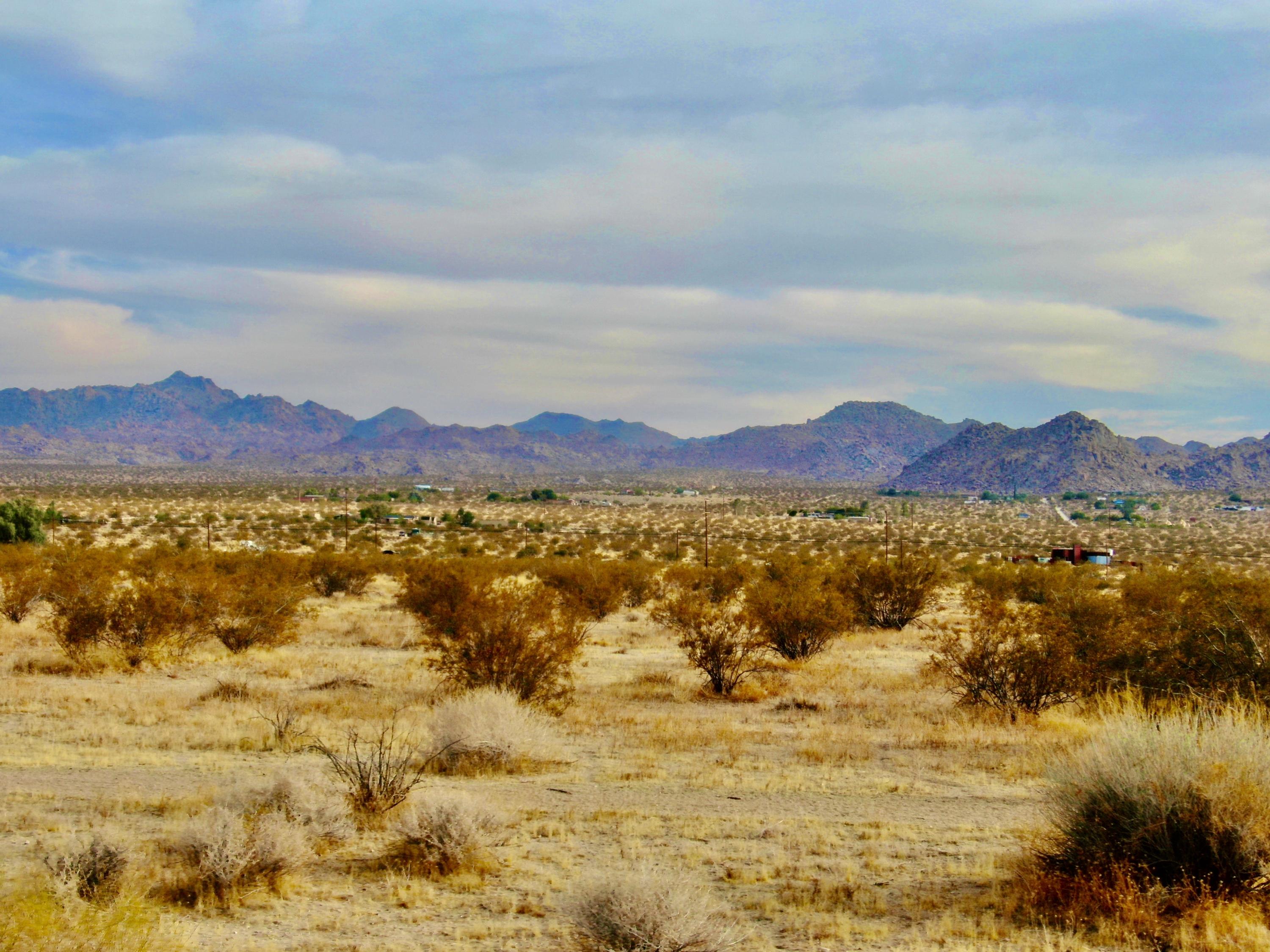 13140 Verbena Road Joshua Tree, CA 92252 - Photo 21 of 24 JTKO6908