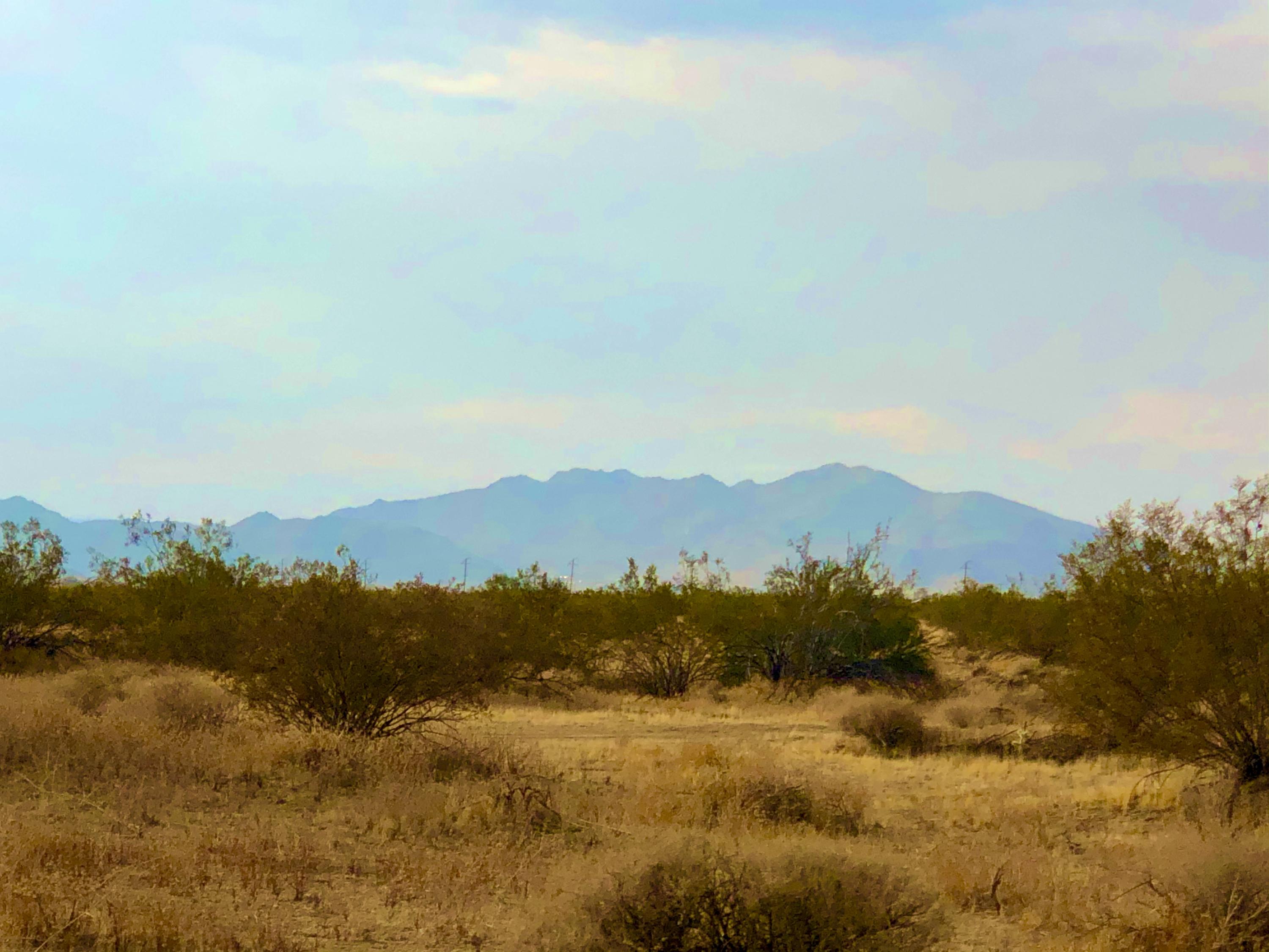 13140 Verbena Road Joshua Tree, CA 92252 - Photo 8 of 24 IMG_6861
