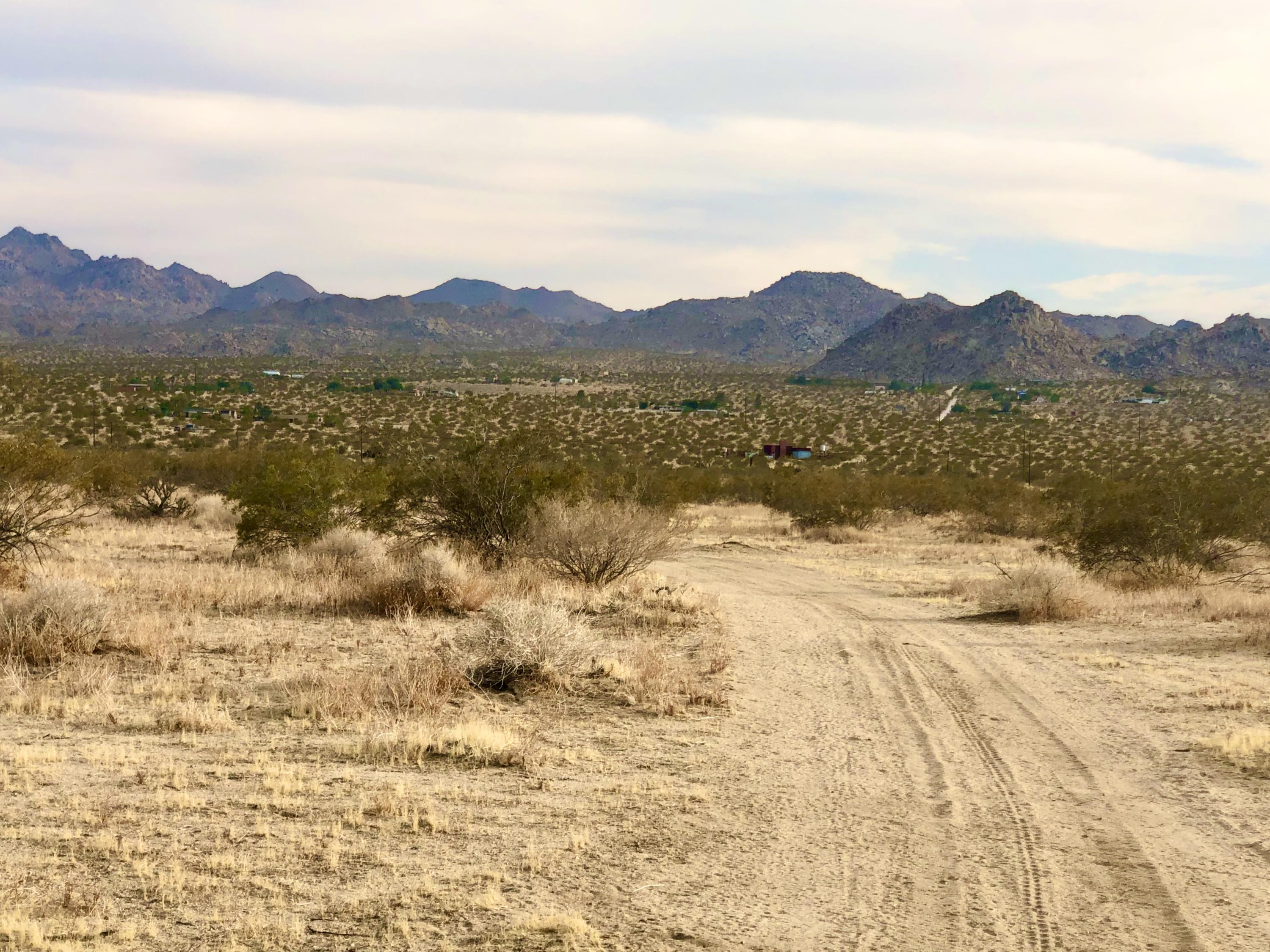 13140 Verbena Road Joshua Tree, CA 92252 - Photo 9 of 24 IMG_6862