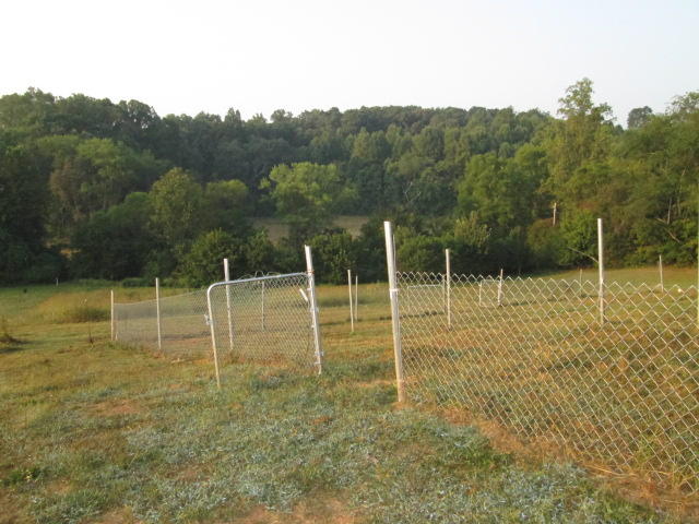 3322 Green Level Road Rocky Mount, VA 24151 - Photo 5 of 27 Back Yard