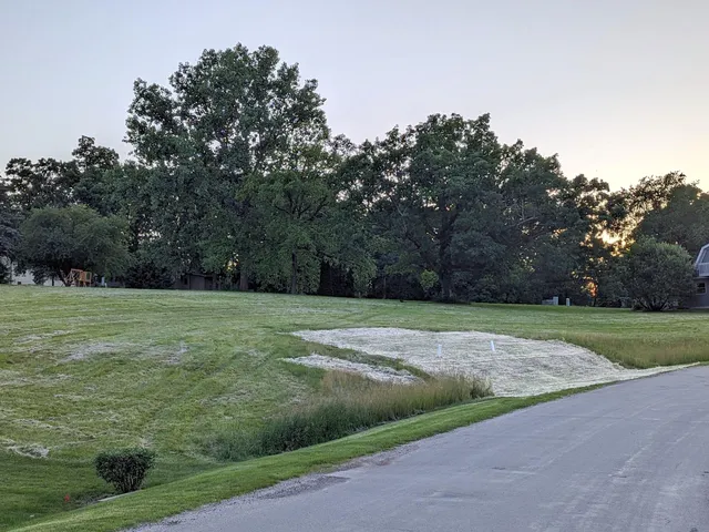 a view of a field with trees