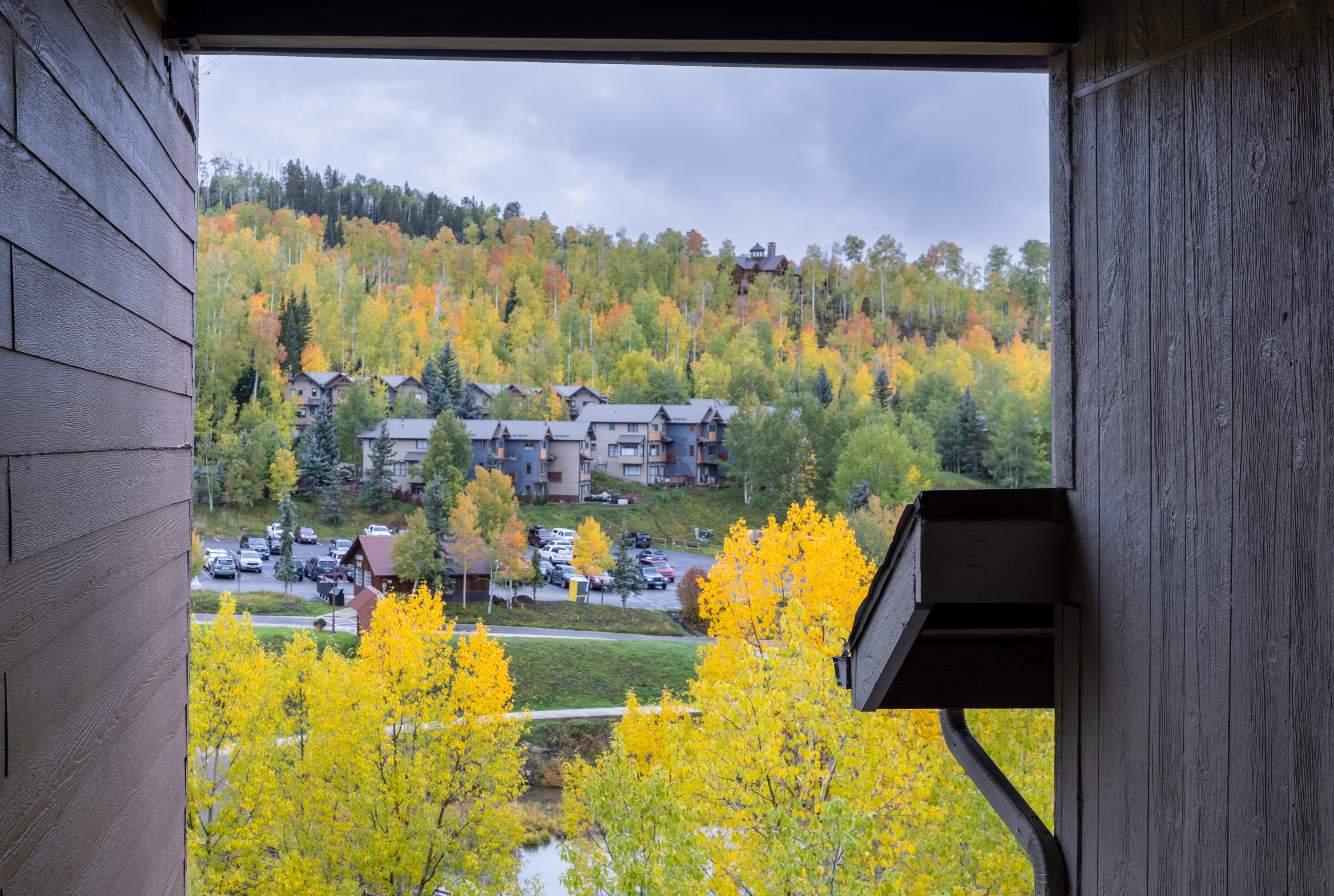 327 Adams Ranch Road, Unit 203 Mountain Village, CO 81435 - Photo 14 of 21 Great VIEWS