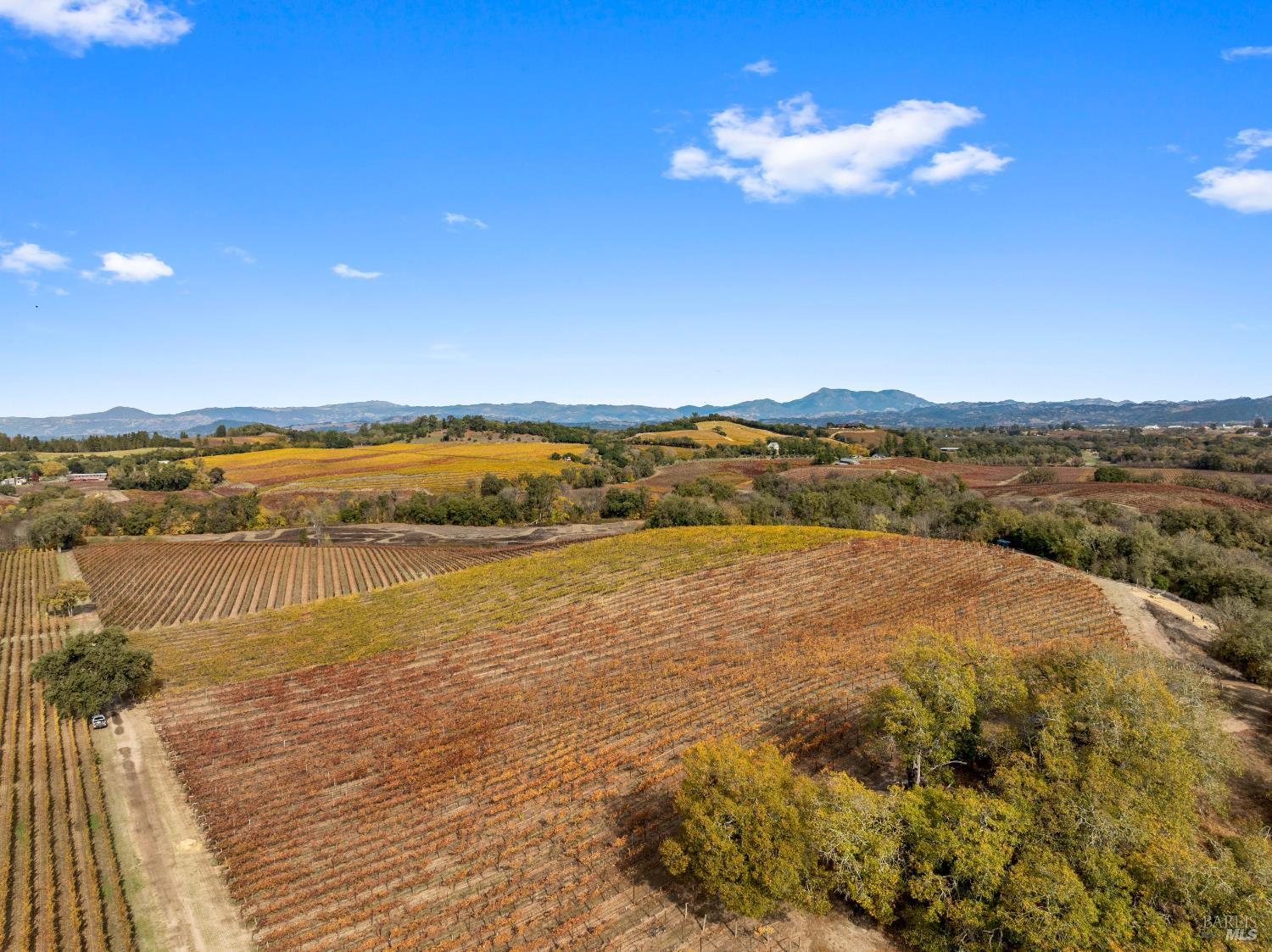6750 River Road Forestville, CA 95436 - Photo 6 of 16
