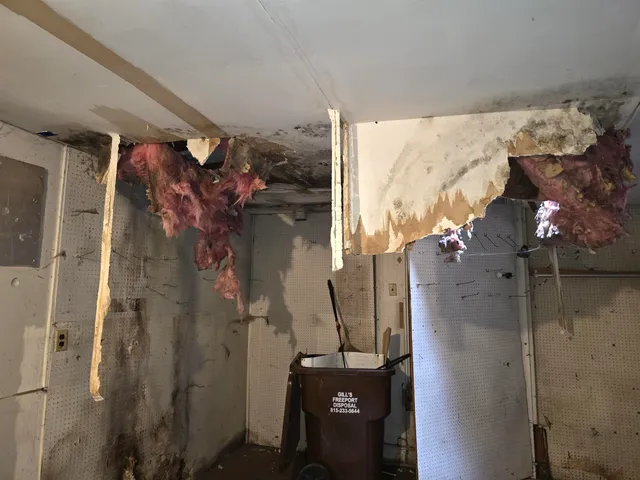 $31,200 | 603 South Galena Avenue, Freeport, IL 61032