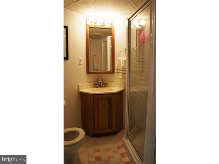 213 Rodmor Road Havertown, PA 19083 - Photo 11 of 25