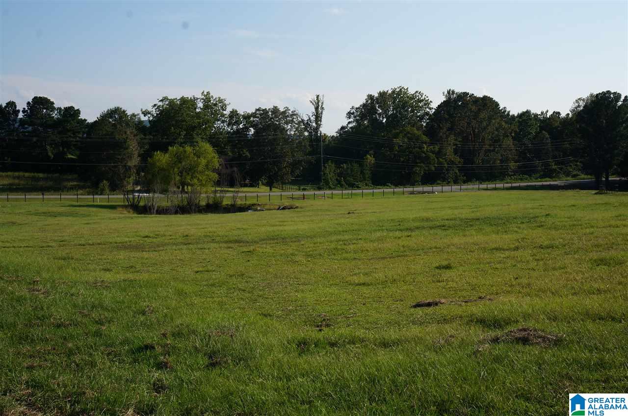 89 Cir M Rnch Drive Sylacauga, AL 35151 - Photo 8 of 50