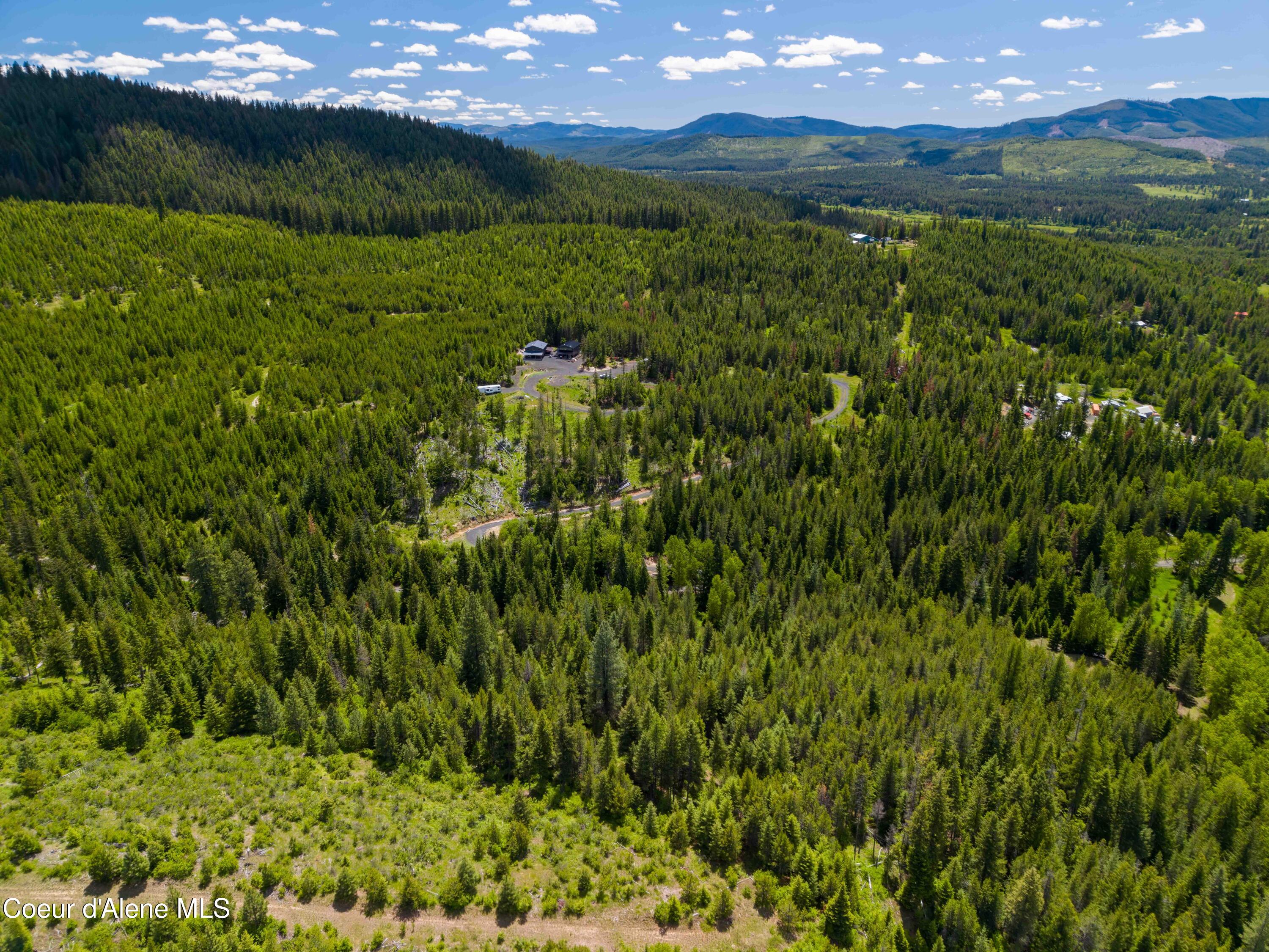 1314 Finn Creek Road Fernwood, ID 83830 - Photo 10 of 23 June 11 2026 (9 of 20)