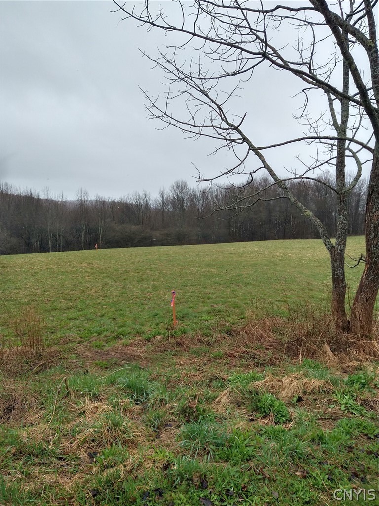0 4-H Camp Road McGraw, NY 13101 - Photo 1 of 1 Gallery Image 1