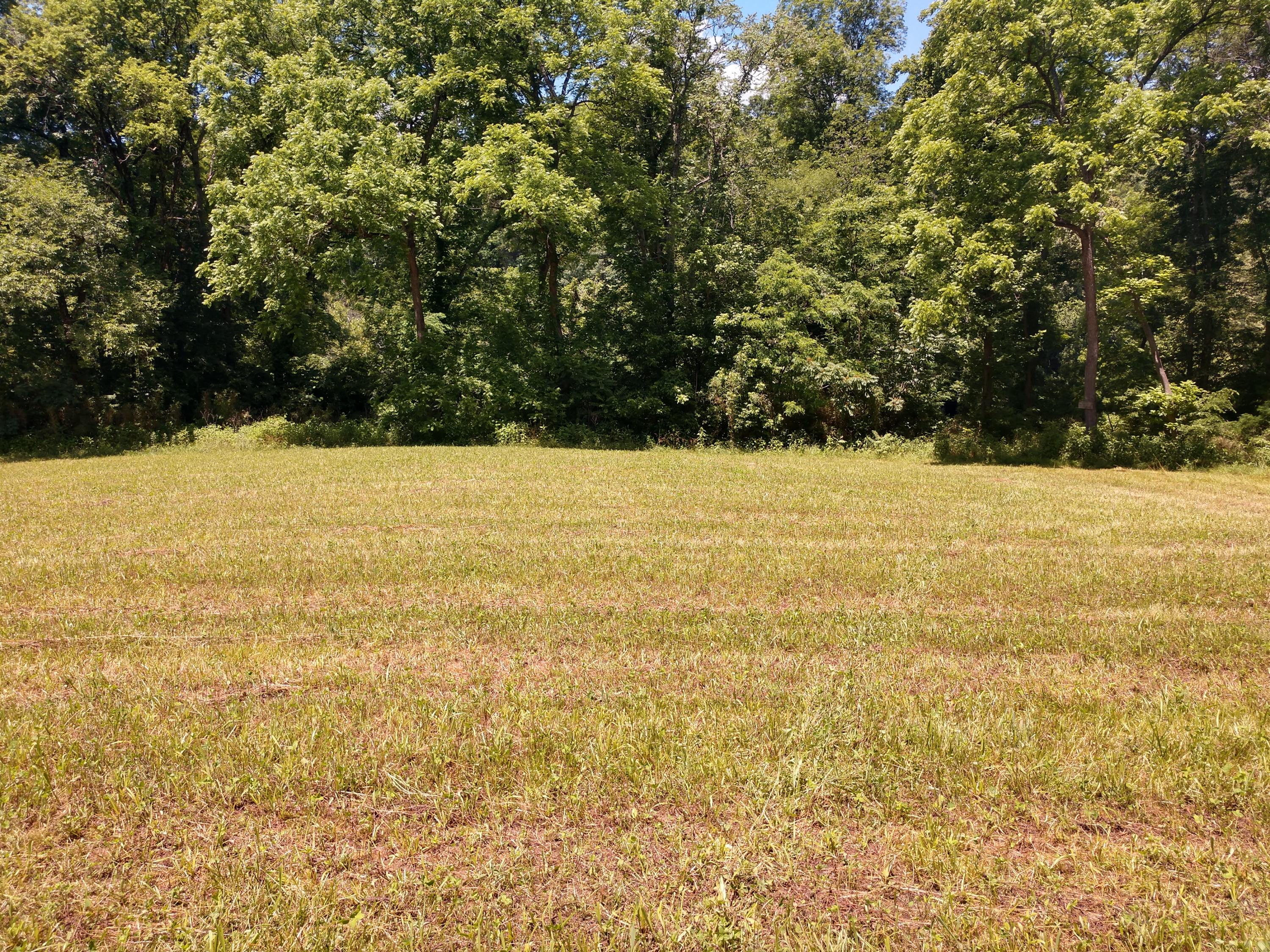 Tbd Bright Hope Road, Unit 8 Greeneville, TN 37743 - Photo 3 of 18 IMG_20200612_125343496_HDR