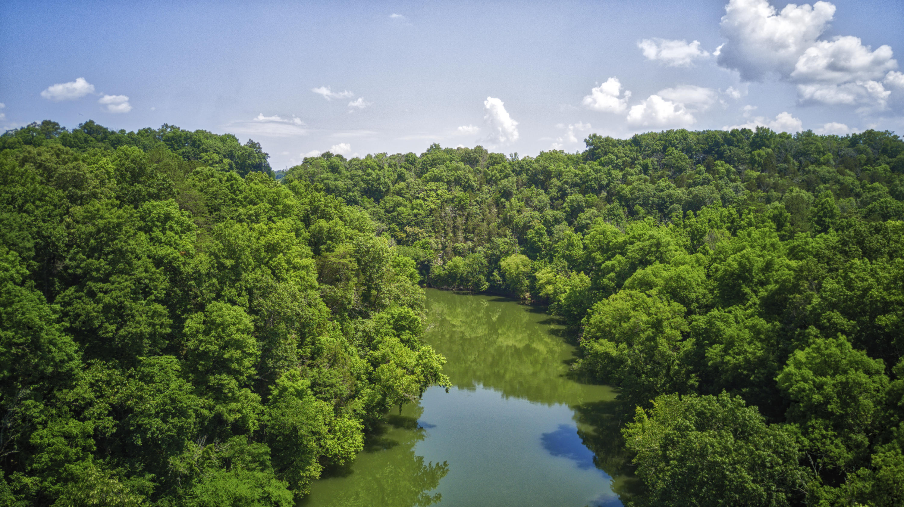 Tbd Bright Hope Road, Unit 8 Greeneville, TN 37743 - Photo 8 of 18 DJI_0038