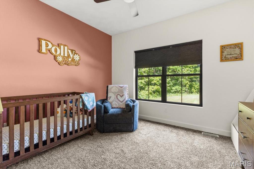 4037 Wetzler Road Fults, IL 62244 - Photo 42 of 54