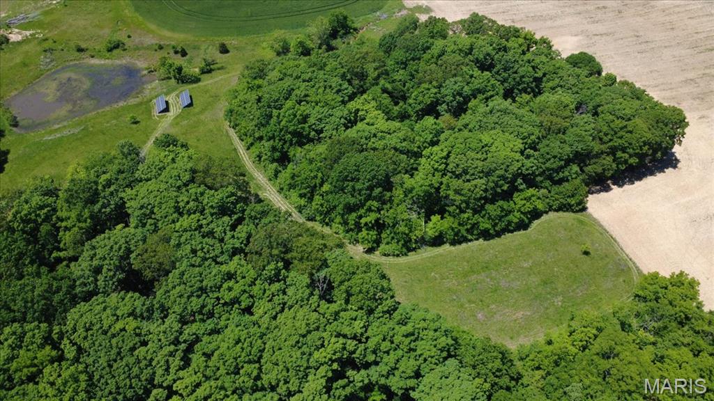 4037 Wetzler Road Fults, IL 62244 - Photo 53 of 54