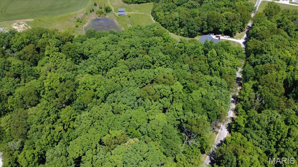 4037 Wetzler Road Fults, IL 62244 - Photo 54 of 54