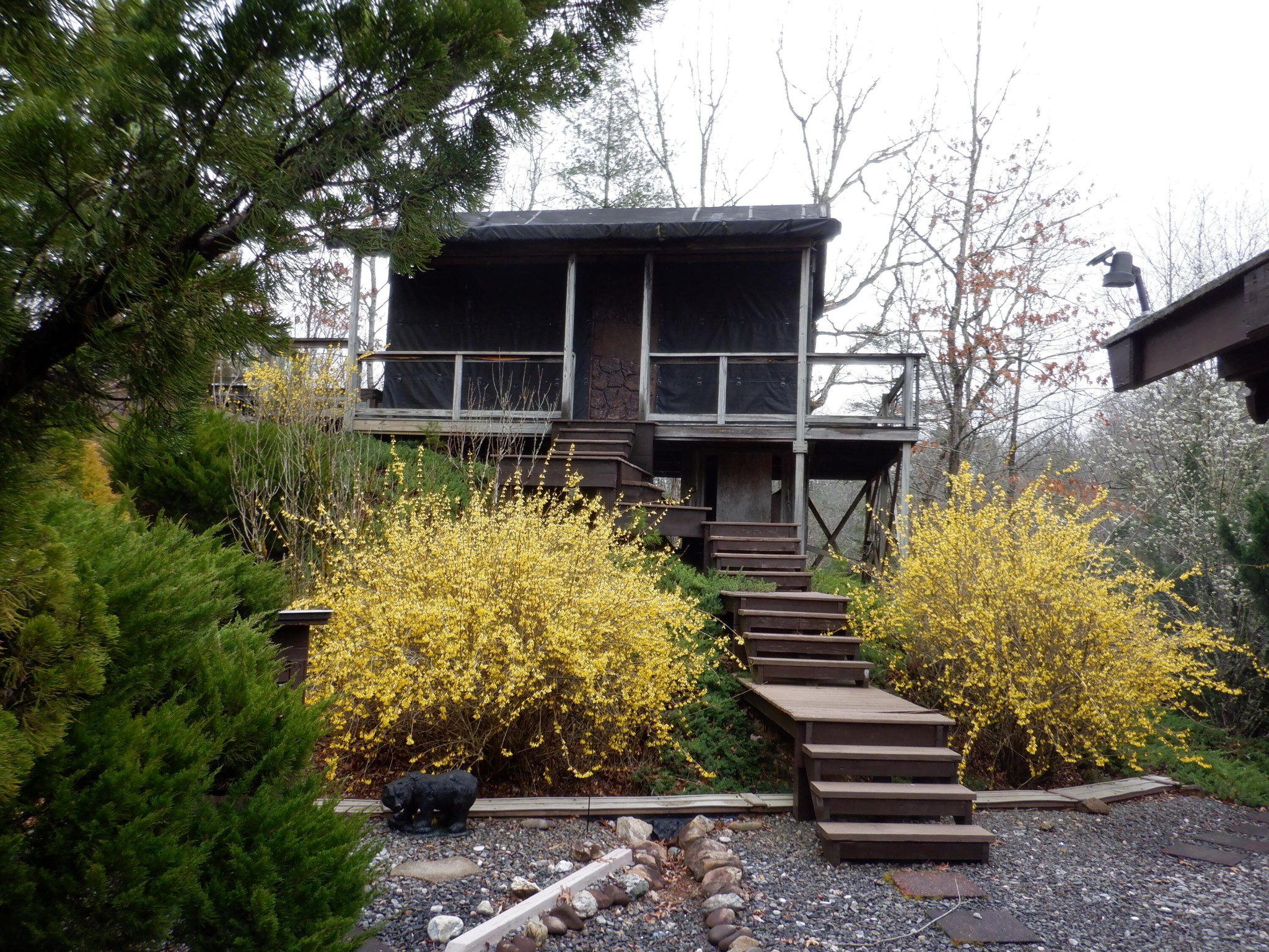 4915 Jones Cove Road Cosby, TN 37722 - Photo 12 of 37 Gallery Image 12