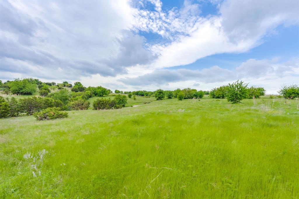 5660 Upper Denton Road Weatherford, TX 76085 - Photo 37 of 39 a view of a big yard with a large trees