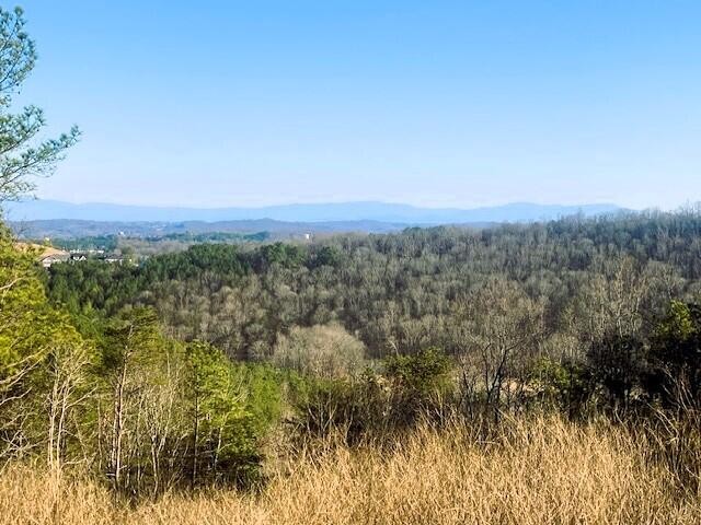 4 Owl Hollow Road McDonald, TN 37353 - Photo 2 of 20