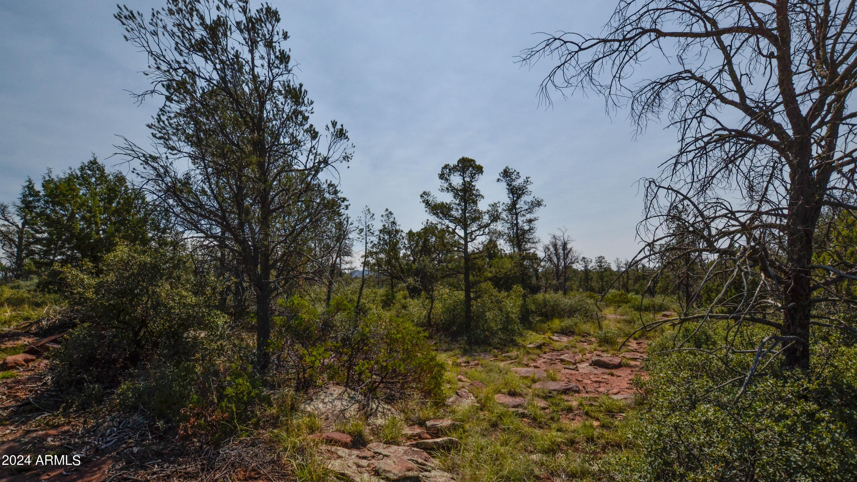 0 North Water Tower Road, Unit 8 Payson, AZ 85541 - Photo 1 of 14 Pics