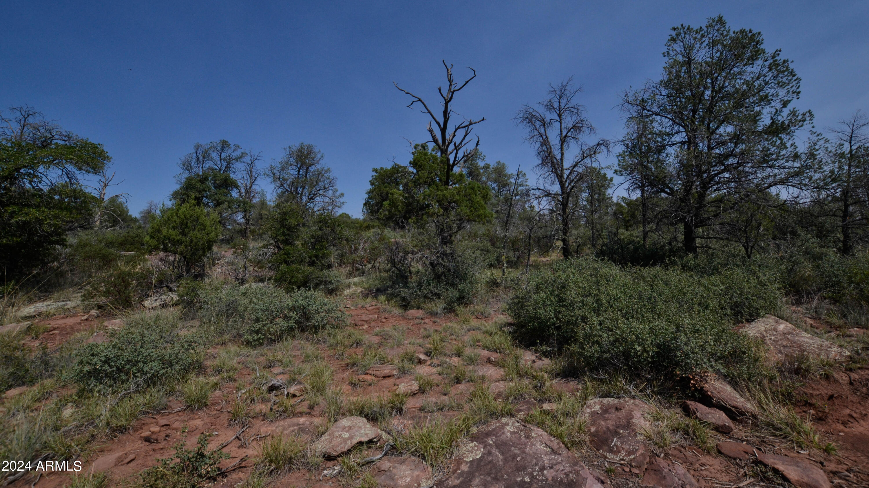 0 North Water Tower Road, Unit 8 Payson, AZ 85541 - Photo 14 of 14 Pics-13