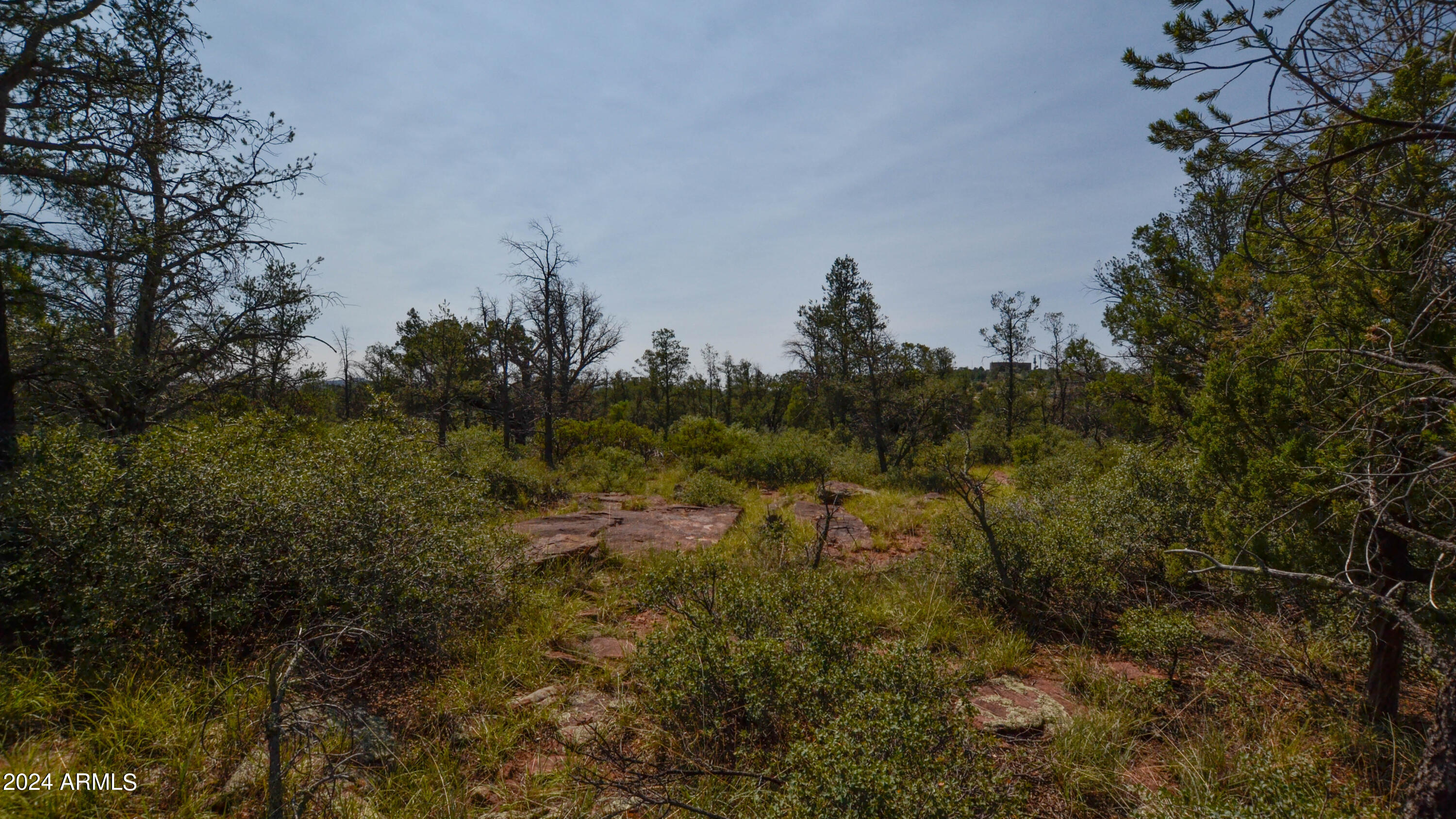 0 North Water Tower Road, Unit 8 Payson, AZ 85541 - Photo 3 of 14 Pics-2