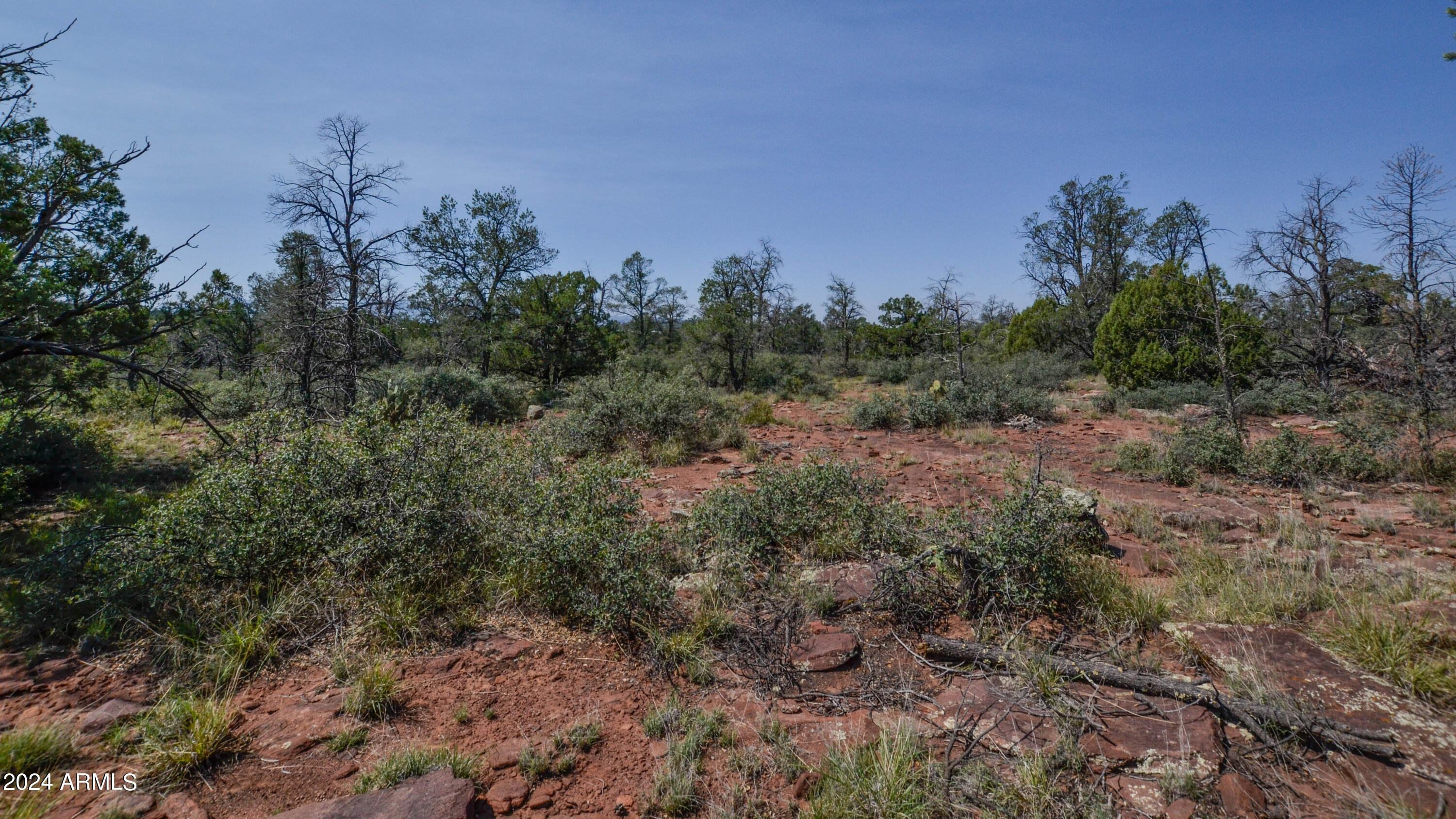 0 North Water Tower Road, Unit 8 Payson, AZ 85541 - Photo 5 of 14 Pics-4