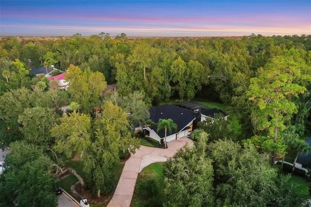 a view of a city with lush green forest