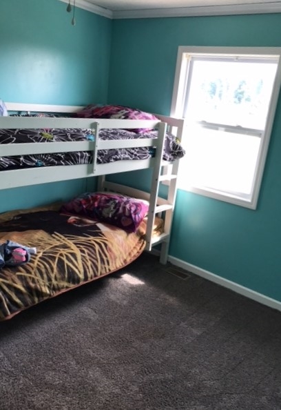 1155 South Luce Road Ithaca, MI 48847 - Photo 9 of 19 1837091-8.JPG