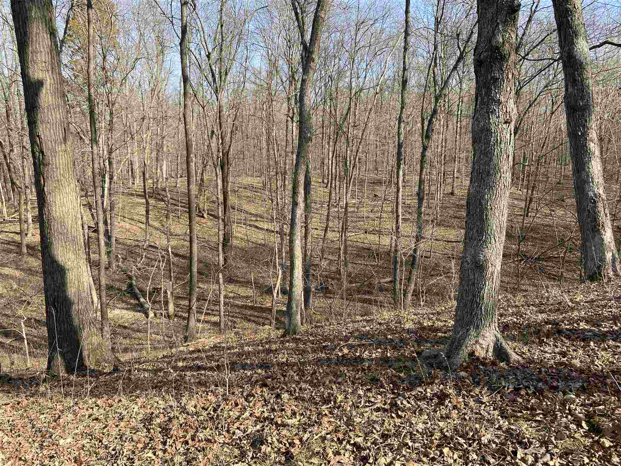2369 Tonti Road Odin, IL 62870 - Photo 45 of 49