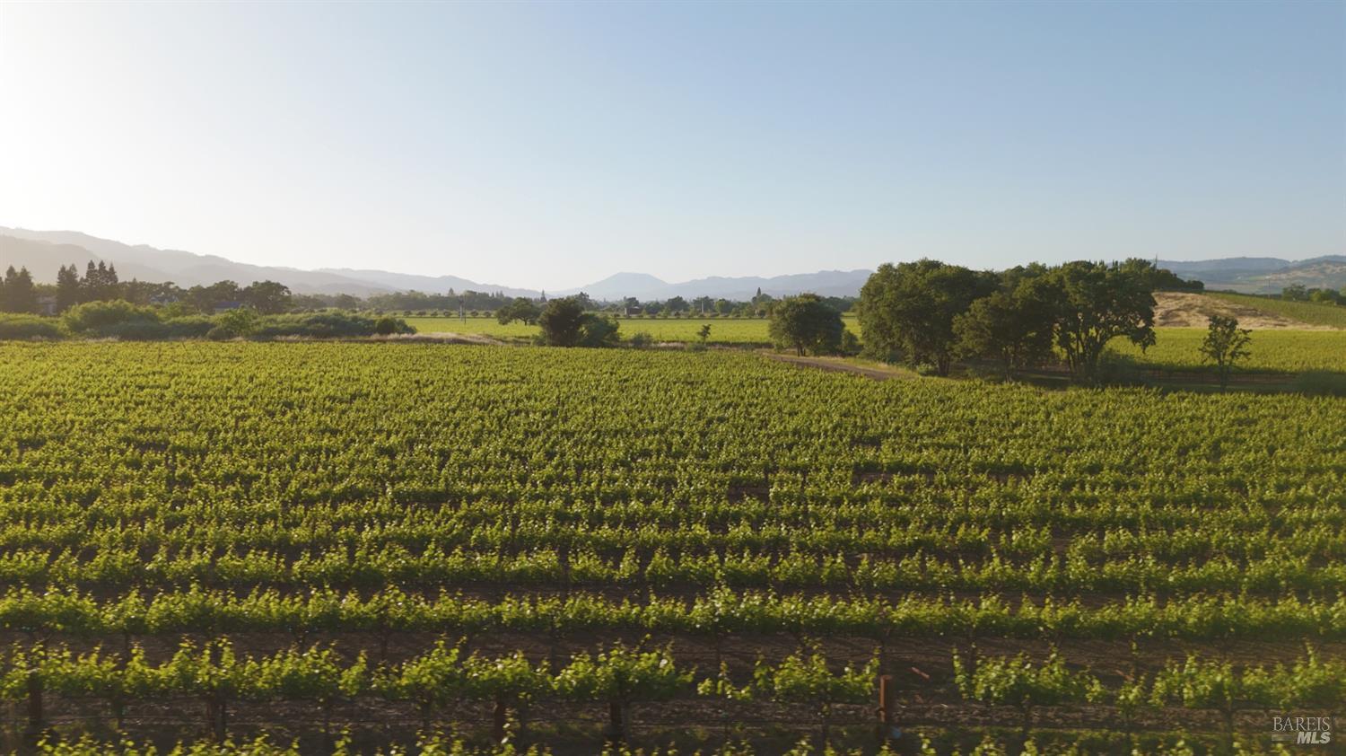 1300 Yount Mill Road Napa, CA 94558 - Photo 10 of 12