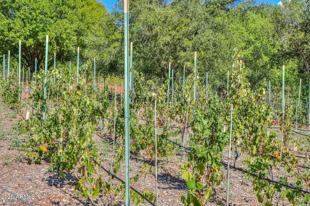 $1,400,000 | 10580 East Swinging Bridge Lane, Cornville, AZ 86325