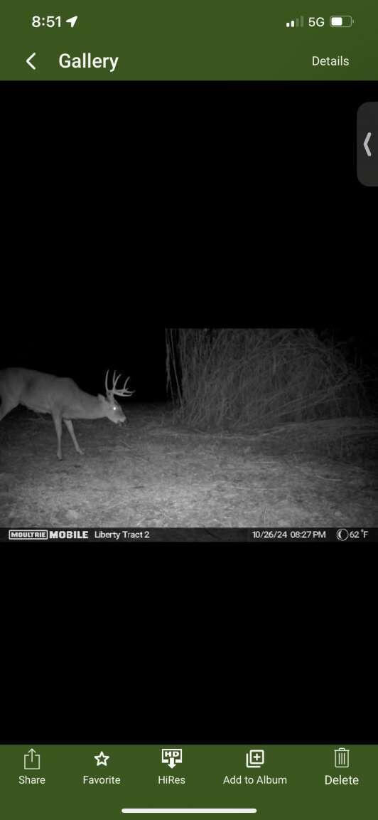 1235 Ewing Ridge Road Dunnville, KY 42528 - Photo 12 of 24 Gridler.14