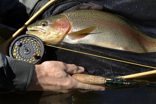 a view of outdoor space