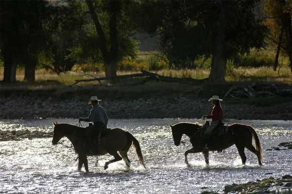 $1,500,000 | 42260 Story Teller Way, Steamboat Springs, CO 80487