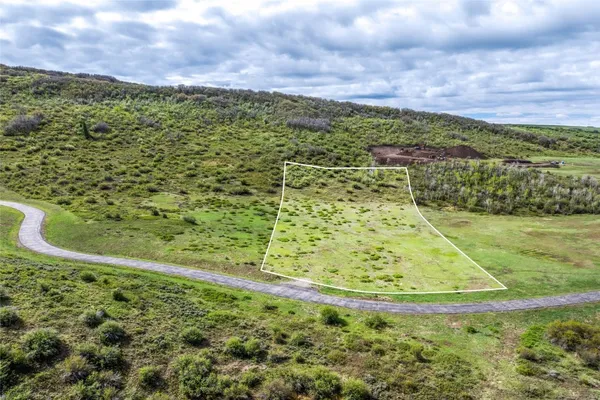 a view of a yard with an ocean