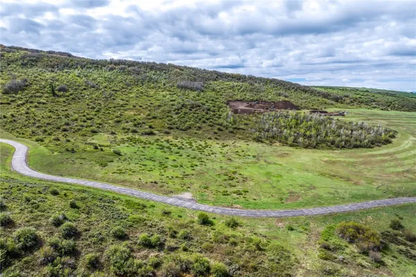 a view of a garden with an ocean