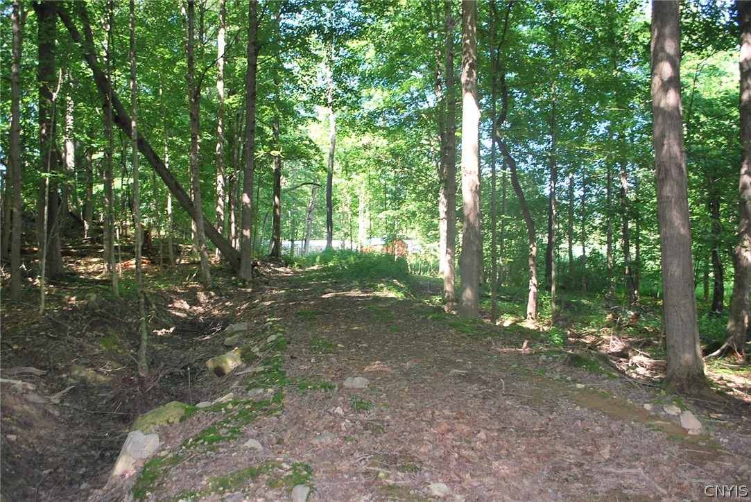 176 Ladd Road Mexico, NY 13114 - Photo 21 of 29