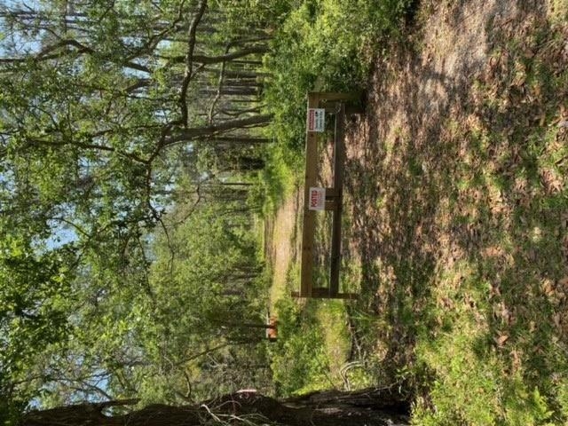 Ft Morgan Road Gulf Shores, AL 36542 - Photo 11 of 11
