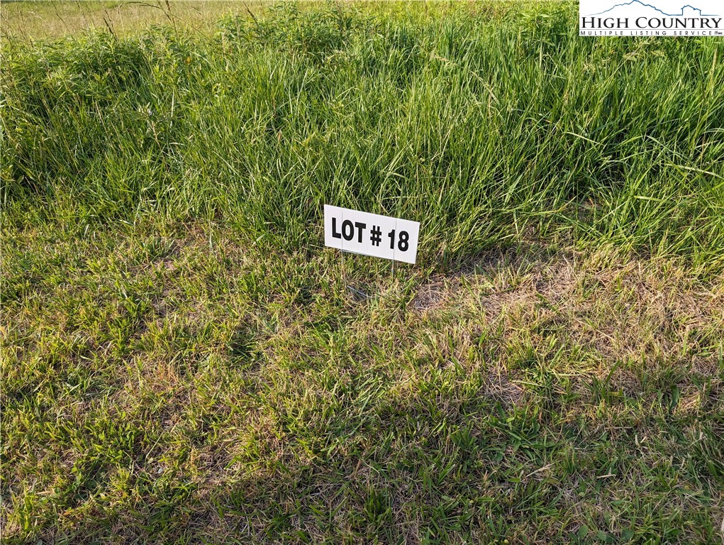 Lot 18 Fraser Road Sparta, NC 28675 - Photo 1 of 9