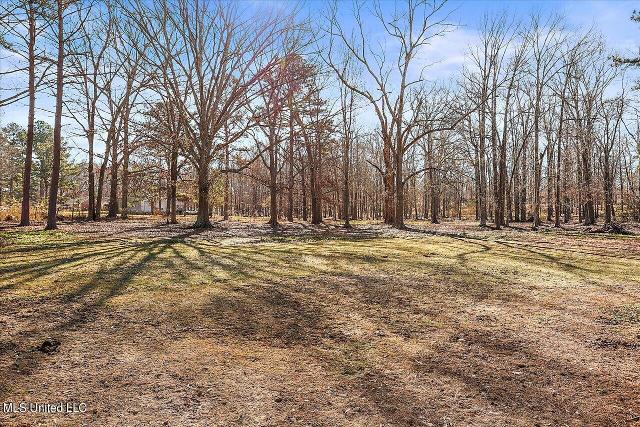 4091 Kimbell Road Terry, MS 39170 - Photo 47 of 66 46-4091 Kimbell Rd
