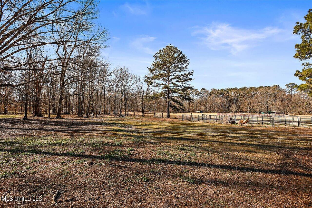 4091 Kimbell Road Terry, MS 39170 - Photo 50 of 66 49-4091 Kimbell Rd