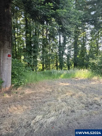 $139,900 | Tl2500 Grape Street, Sweet Home, OR 97386