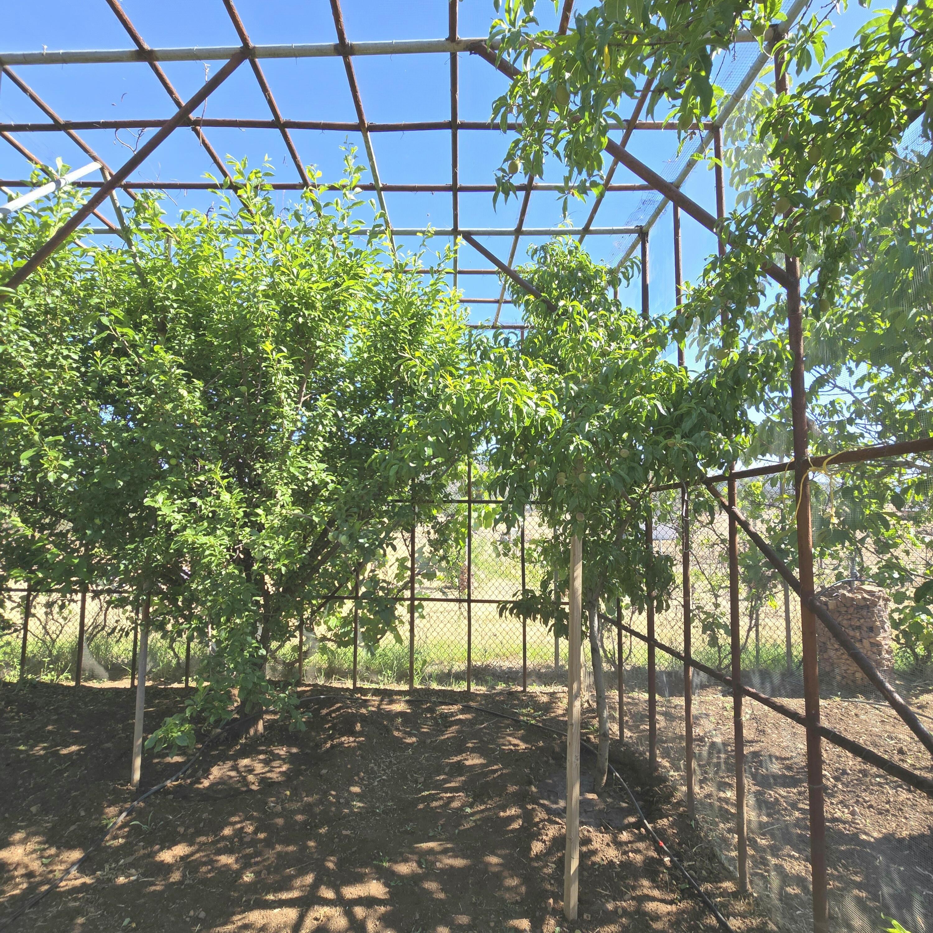 624 Baker Ranch Road Young, AZ 85554 - Photo 74 of 96