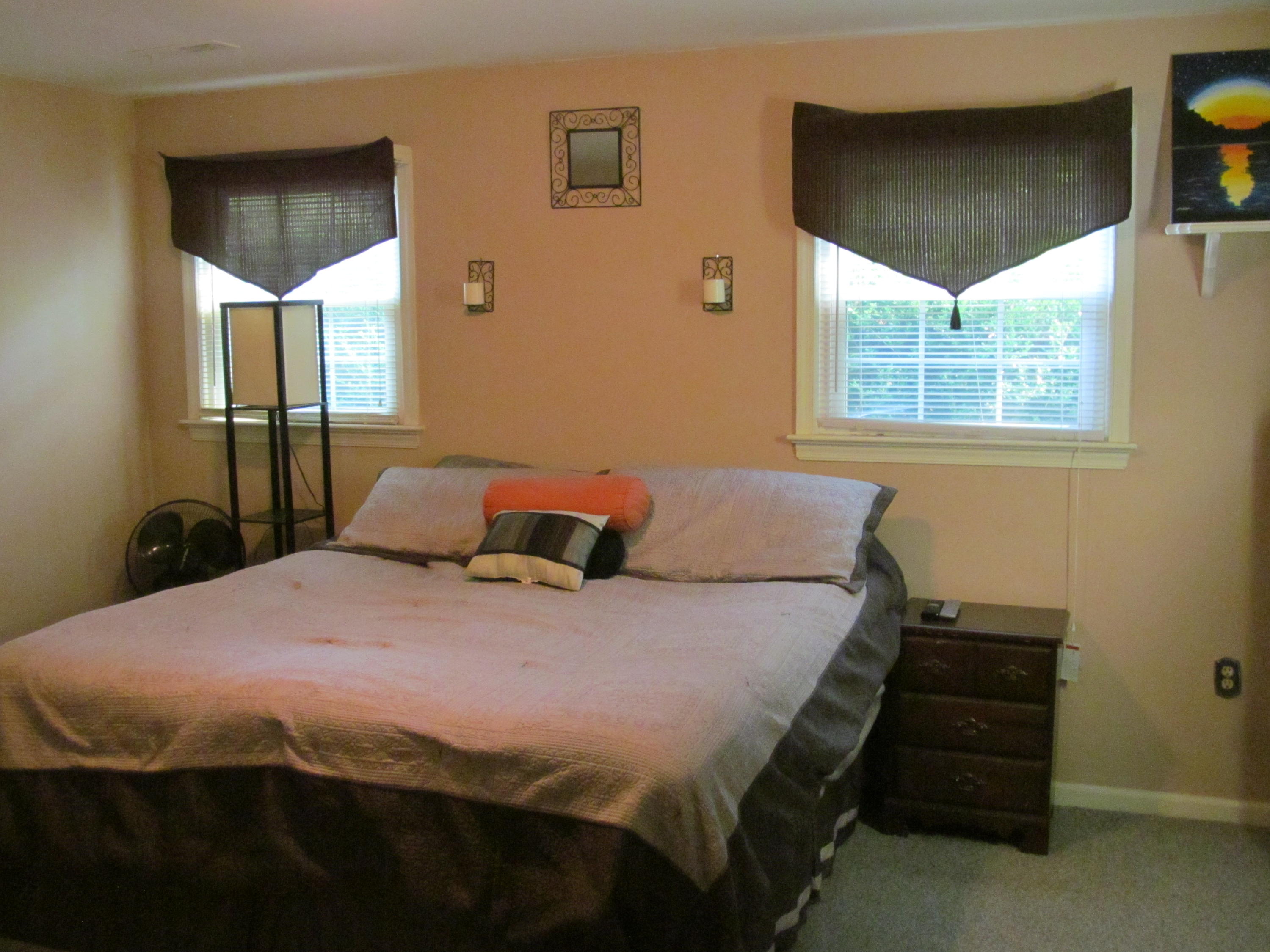 391 Scalybark Drive Blue Ridge, VA 24064 - Photo 11 of 28 391 Scalyba (17)