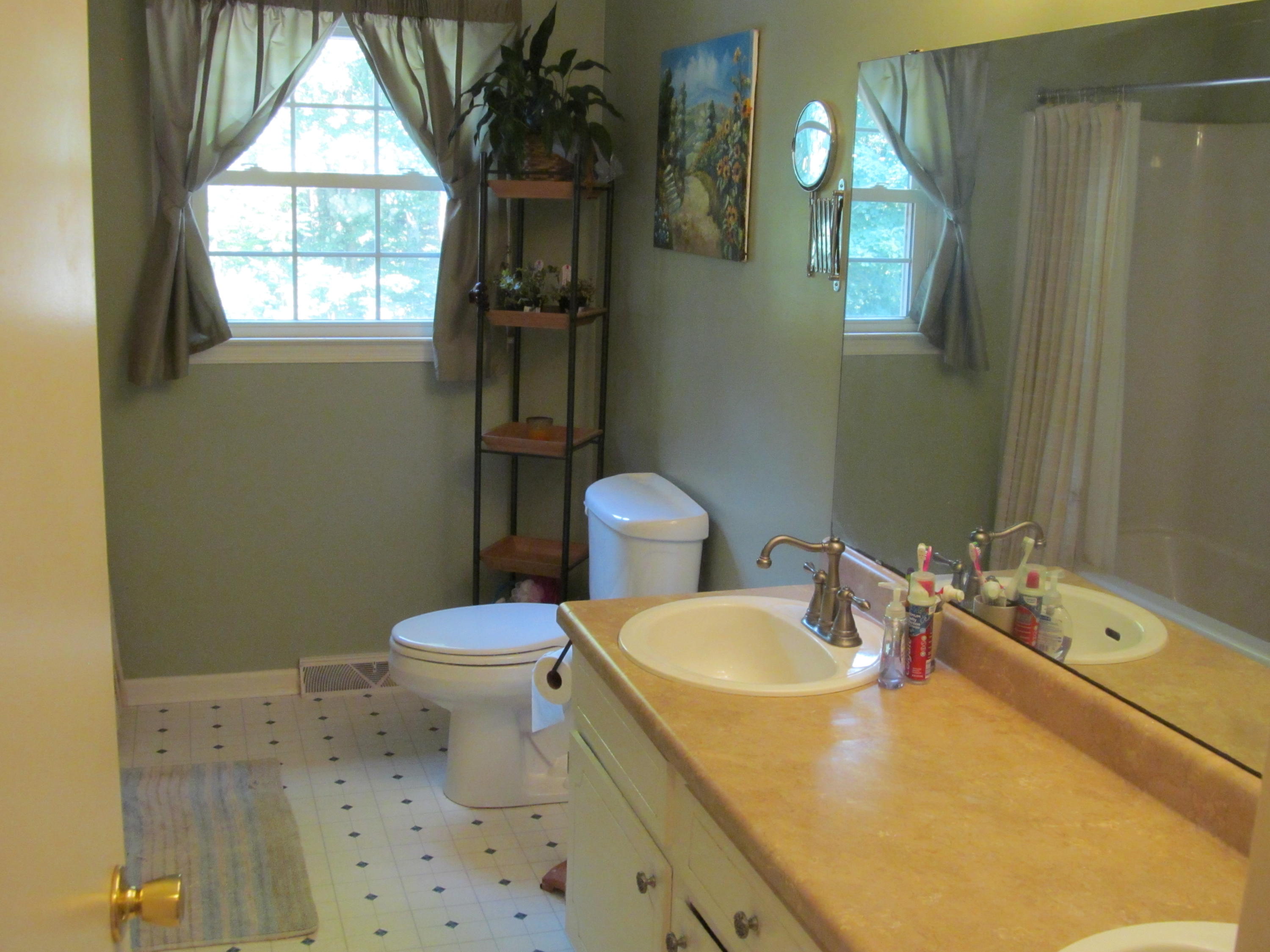 391 Scalybark Drive Blue Ridge, VA 24064 - Photo 17 of 28 391 Scalyba (6)