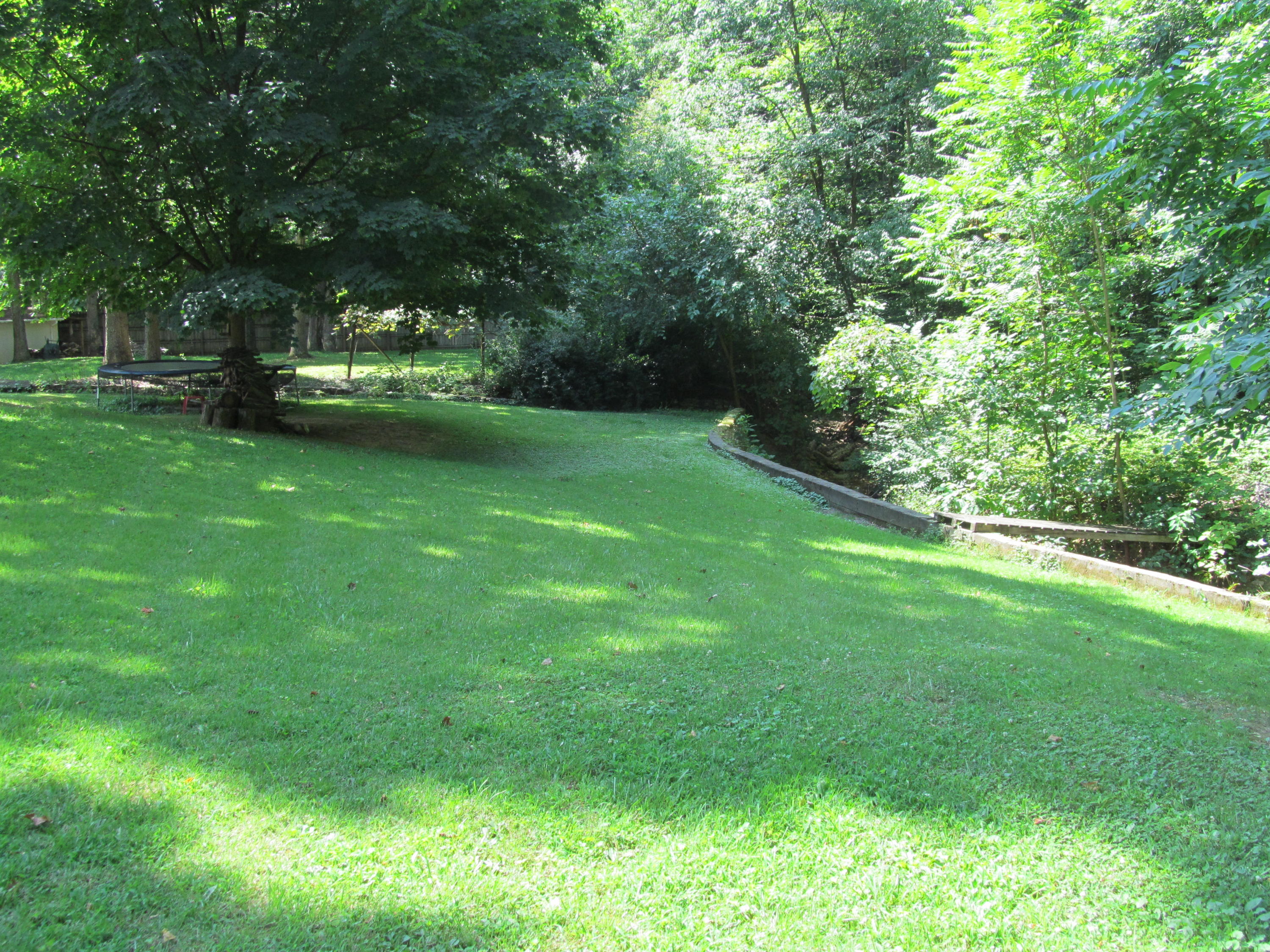 391 Scalybark Drive Blue Ridge, VA 24064 - Photo 22 of 28 391 Scalyba (25)