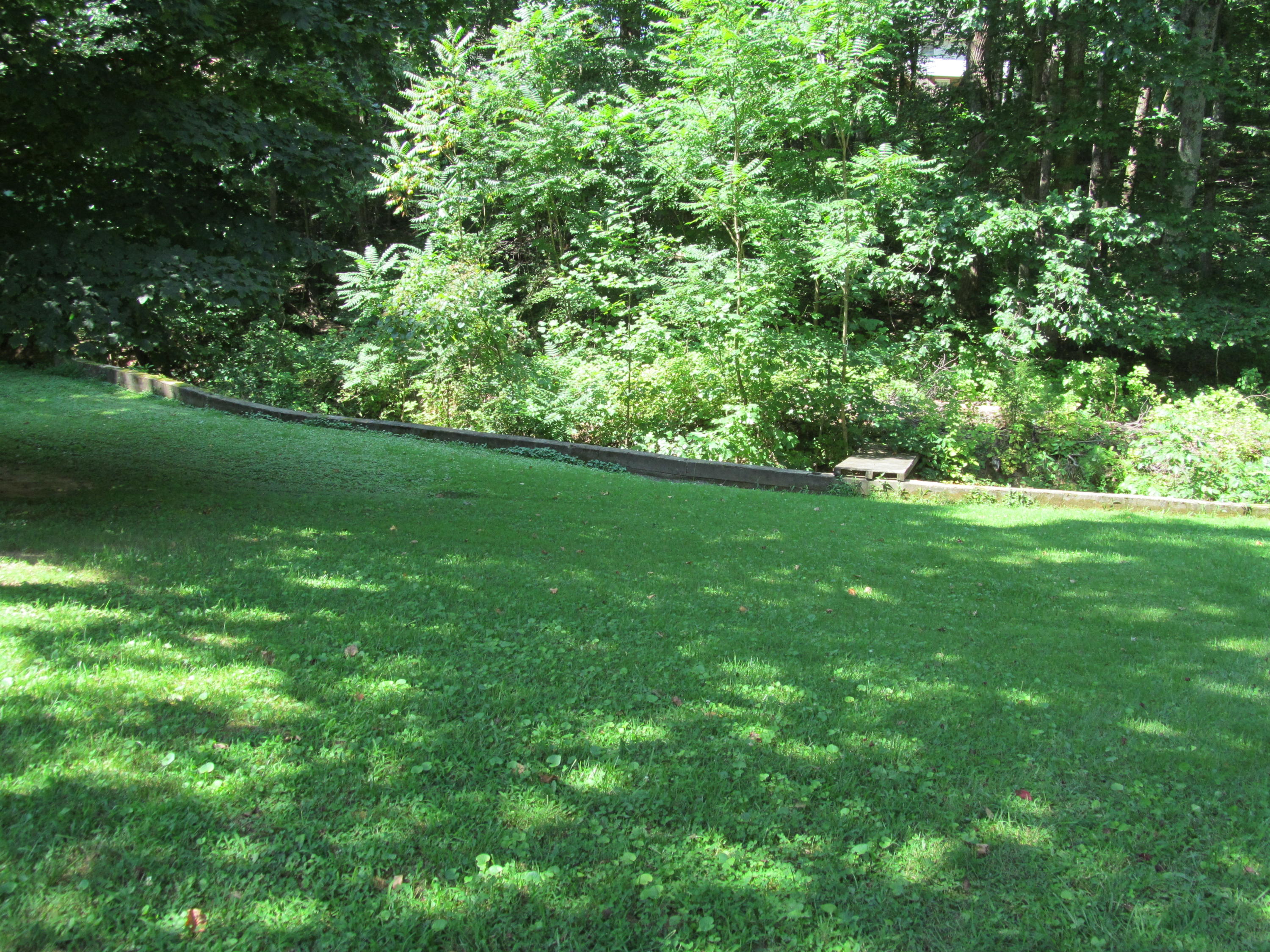 391 Scalybark Drive Blue Ridge, VA 24064 - Photo 23 of 28 391 Scalyba (24)